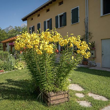 Casa Edith Libano Екстер'єр фото
